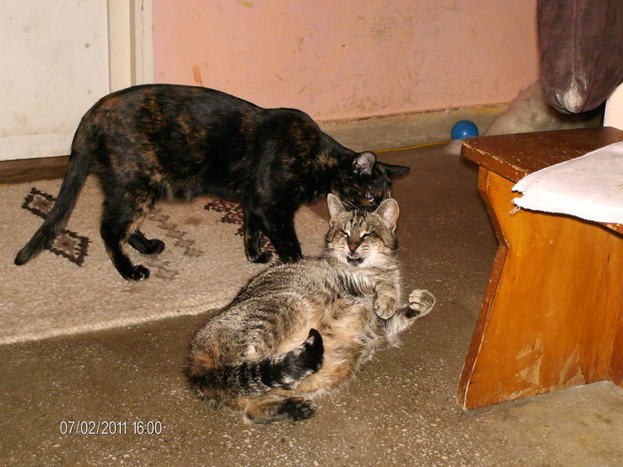 in joaca..mai se cade