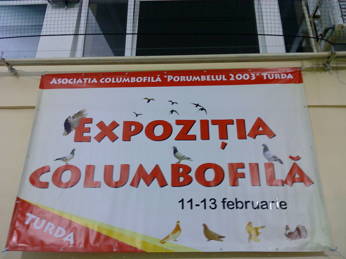 DSC02423 - O- EXpozitia Turda 2011