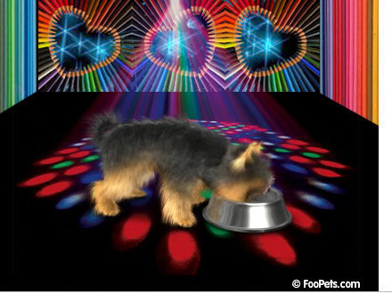 h6juzYfHRftT - Pentru voi - Sunteti minunati