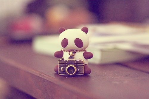 tumblr_lgi3p5NDc91qh624po1_500_large
