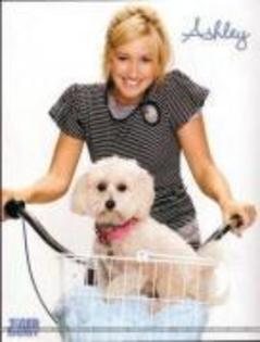 YUEICLHMJFYYXATMVBO - Ashley tisdale
