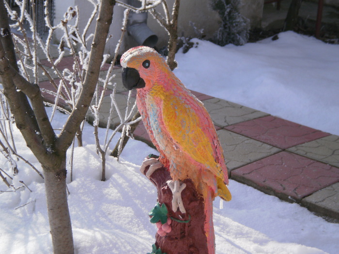 Papagal... ornament - Iarna 2010-2011