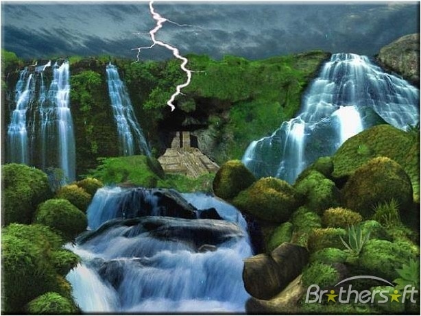 jungle_storm_animated_wallpaper-69855-1