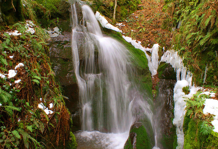 Steinbach_27695_Cascade-de-l-Erzenbach-en-foret-de-Steinbach
