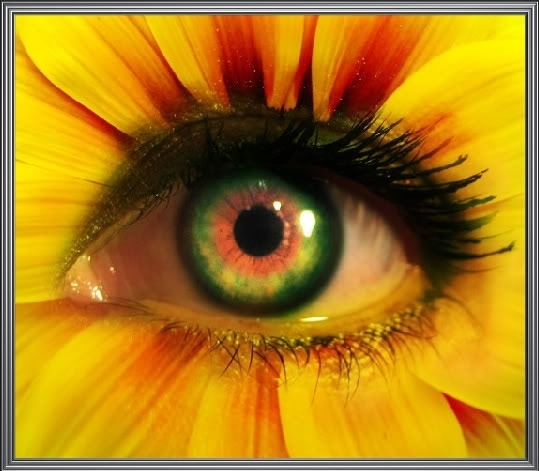 Flower-eyes-eyes-7846231-539-471