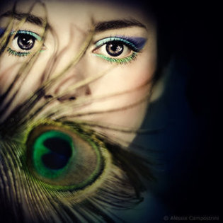 peacock-eyes-eyes-2970190-300-300 - Ochi2