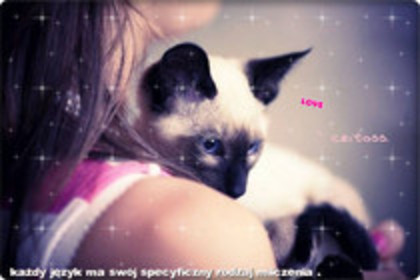 29453671_PFTMMKGEQ - Album for xZapacita