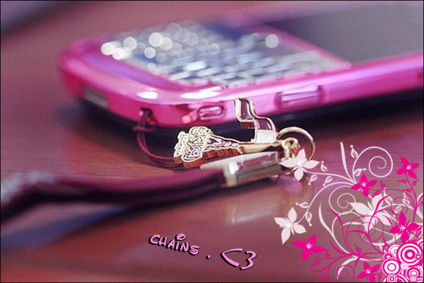 0084429803 - Album for xZapacita