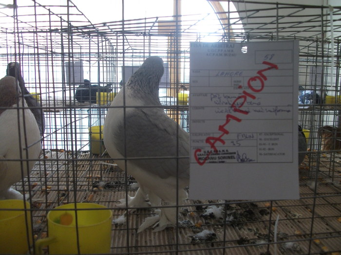 Picture 039