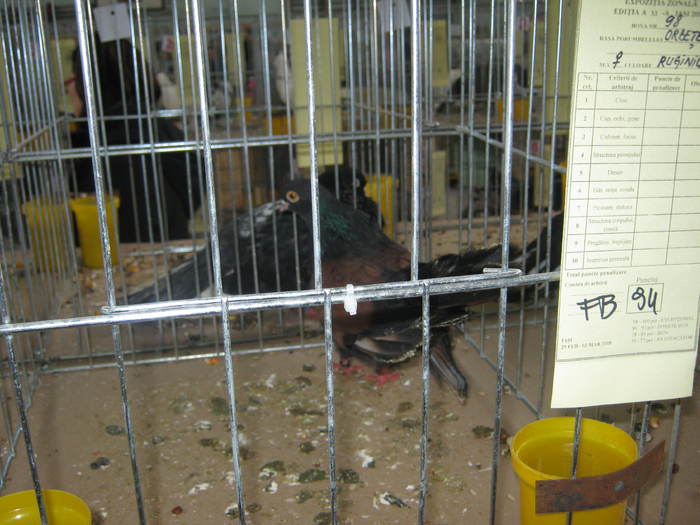 Picture 032