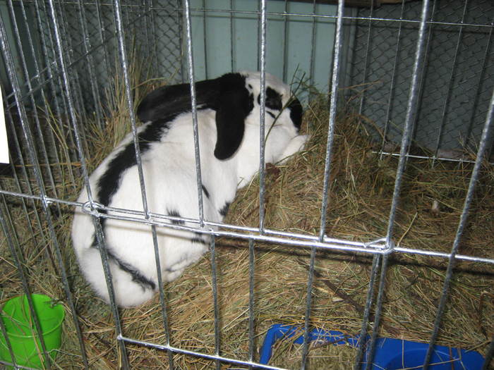 Picture 070