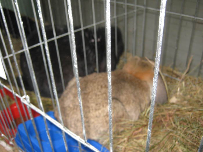 Picture 072