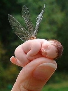 Baby_Fairy - gradina