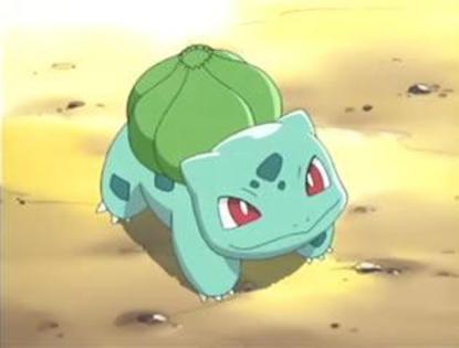 bulbasaur baiat lvl 8:leaf storm,leech seed,solar beam,sinteza - Pokemoni lui kerypokemon