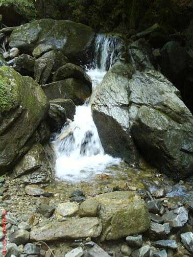 DSC02258 - pe transfagarasan