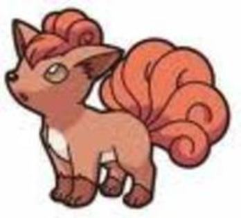 Vulpix14