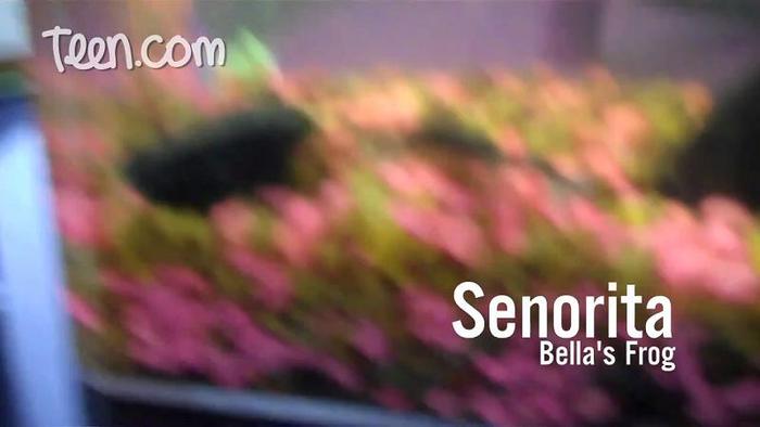 bscap0174 - 0  Bella-My Day My Life ScreenCaps 0