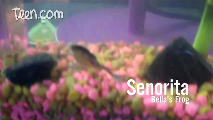 bscap0176 - 0  Bella-My Day My Life ScreenCaps 0