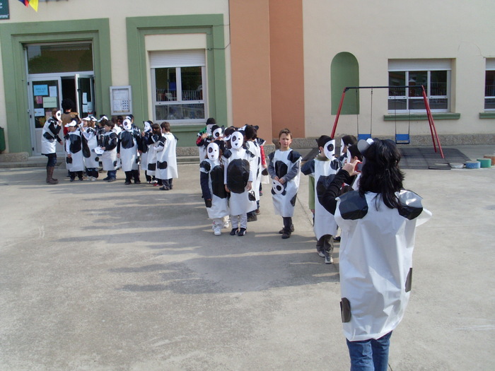 carnaval de febrero - traditii