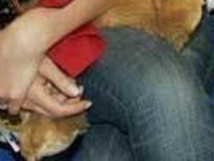 11 - Thalia-puzzle
