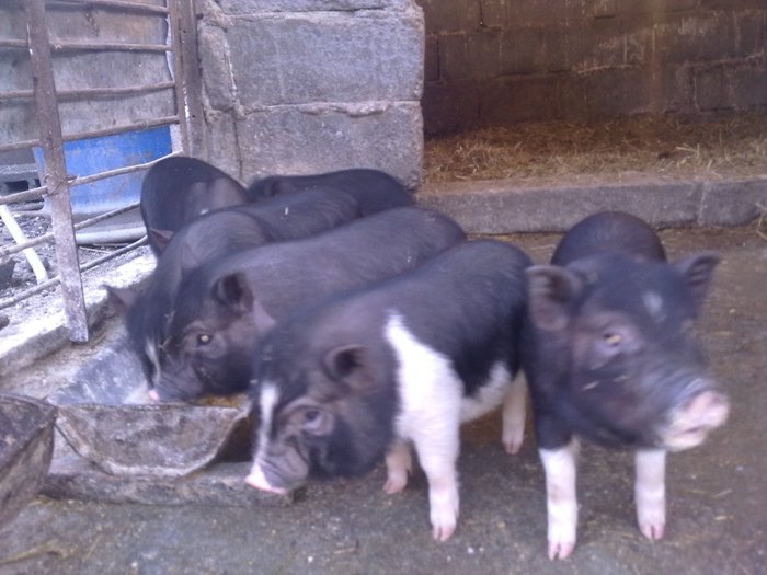 Image0114