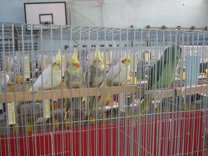 Picture 005