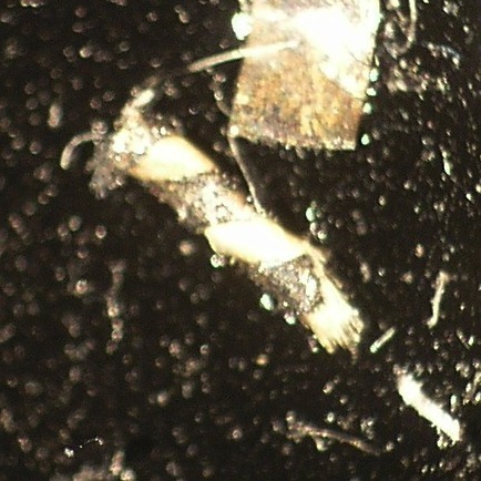 T12.6_30x