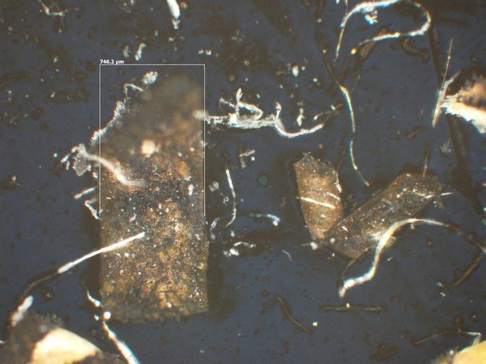 T12.7_5x Epi Pol    MASURAT