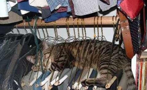 de aici sunt sigur ca nu mai cad