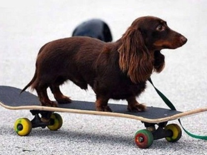 merg pe skateboard ;)