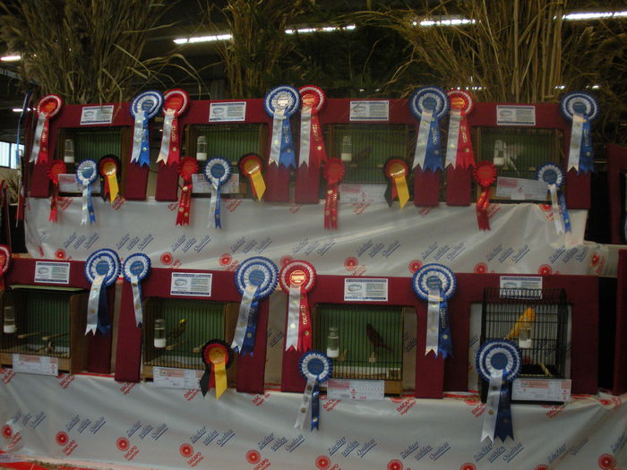 toti campioni impreuna - expo wels  dec 2010