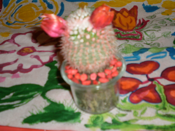 Cactus pe fundal desenat