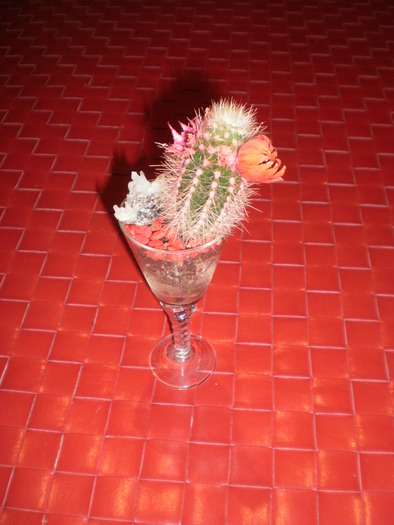 Cactus in pahar cu picior - Plante ornamentale