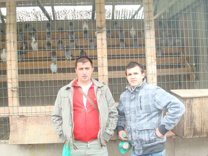 DSC04895 - vizita la ferma NATURAL BELGIA 13-02-2011