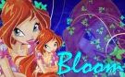 avatar winx10