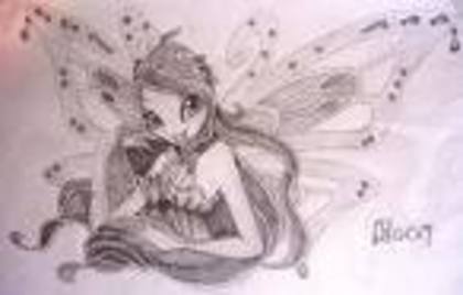 avatar winx13