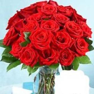 trandafiri-love-471084_normal