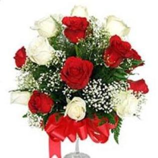 trandafiri-red-amp-white-471085_normal