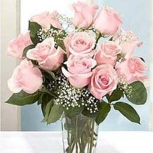 trandafiri-roze-roze-471081_normal