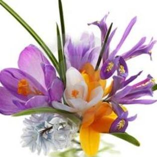 aranjament-floral-buchetel-471090_normal