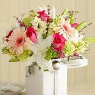 roua-din-zori-471094_normal - flori si cafea123