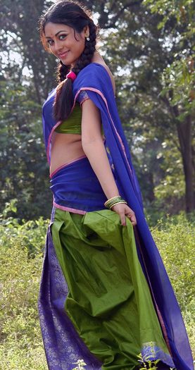 fashin-in-india-paithani-saris-weaving-golden-legacy-pictures-13