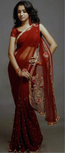 fashion-india-saree-six-yard-wonder-pictures-3