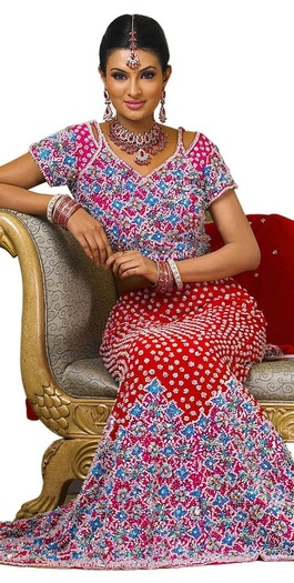 Beatuiful Women Dresses Indian Traditional 4100614063700_515x343