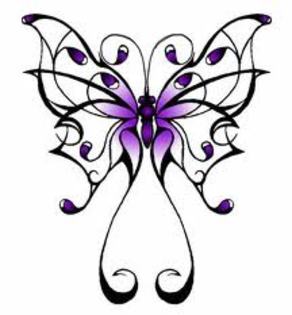 imagesCAX9ZV75 - Butterfly