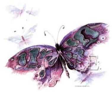 imagesCACB76CZ - Butterfly