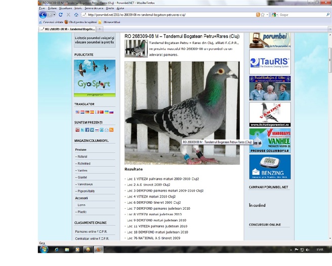 be;geanu porumbel.net