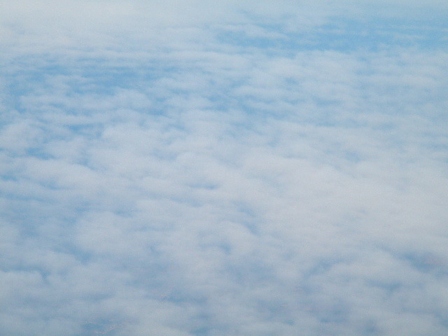 DSCN6067 - vineri-11_02_2011