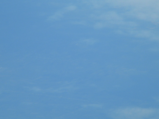 DSCN6072 - vineri-11_02_2011