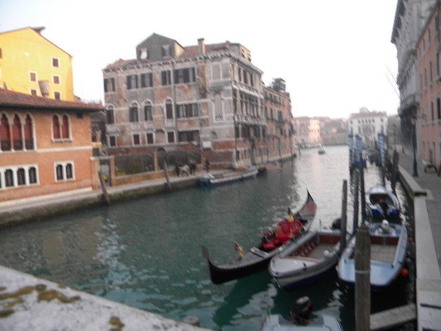 DSCN6081 - vineri-11_02_2011